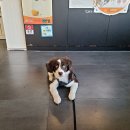 이선동물병원 이미지