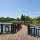 시민문화체육공원 산책로 이미지