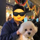 홍대노가리포차 이미지
