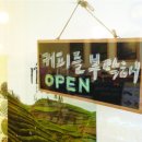 바나나씨앤씨미술학원