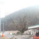 직금 이미지