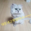 뚜레쥬르망우역점