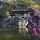 문경새재로펜션 | 문경펜션추천 자연과 힐링을 동시에 누릴 수 있는 완벽한 선택