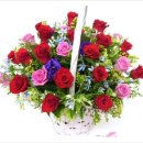 순천에코주유소 이미지