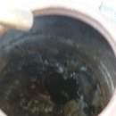 일신식품 이미지