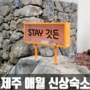 봉성리 | 제주도 애월 봉성리 신상 숙소! 감성숙소 스테이깃든 후기(feat.탄핵소추안)