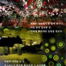 포레블루 이미지