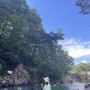 장보고동상 | 대전 근교 성인 물놀이 하기 좋은 동상계곡 (돌섬산장펜션)