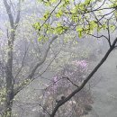 도봉-도봉-2535 | [쌍문] 동적 깡통 구이 : 원조 쌍문 맛집, 등산 후 둔둔하게 한 끼