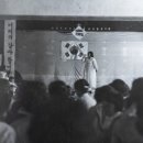 관청초 네이버블로그