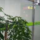 칸노래연습장 이미지