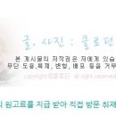 석기목장 이미지