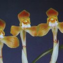 자산동011 이미지