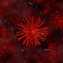 나라바이오 이미지