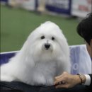 유어라운지 이미지