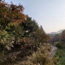 건영단지내공인중개사사무소 이미지