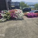 강화남로 이미지