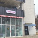 몽카롱 애견미용 이미지