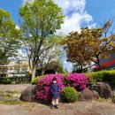 비비창의어린이집 이미지