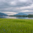 한강근린공원 이미지