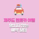 친친카종합서비스 | 제주도 렌트카 여행, 망치지 않는 예약 꿀팁