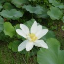 어둔이 화장실 1 이미지