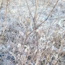 경희빨래방 이미지