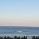 멍투유 | 속초고성오션투유리조트 강원애견동반숙소 후기