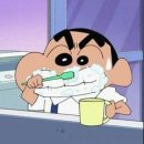 프라돈 | 입냄새 예방 및 임산부용 치약_파인프라 치약 내돈내산 솔직 후기