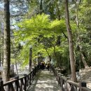 은철축산 | [백양산등산코스] 대중교통 타고 혼자 생고생하며 다녀온 후기!