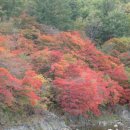 통리군부대 이미지