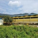 완도읍-10 이미지