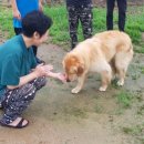 소중농원 이미지