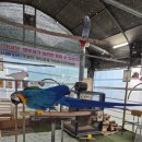 운송 | [제주여행3일차]아이가 직접 선택한 앵무야앵무야 초콜릿박물관