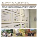 핏핏양산