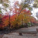 평창 태기산 캠핑장 펜션 이미지