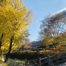 [제천여행] 청주에서 제천, 당일치기 코스 추천