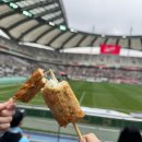 [직관일기] 25시즌 K리그 6R FC서울 vs 대구FC (부제 : 더이상 관종에게 먹이를 주지말자)