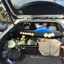 라니 | [하와이 신혼여행 스냅촬영] 라니포토 내돈내산 후기