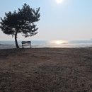 힐링나라 | 바다 바로 앞 A8, 대부도 나라펜션캠핑장 1박 후기｜노을에 힐링한 차박 캠핑