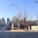 조각공원화장실 | 잠실] 올림픽공원 소마미술관 조각 전시회 &#39;장소와 통로&#39; 관람 후기 (+주차, 화장실) | 조용하게 즐기는...