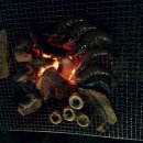 파주착한펜션 이미지