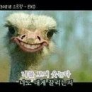 센스노래방 이미지