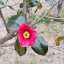 고하대로719번길 이미지