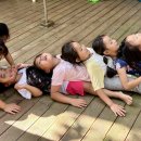 바바나무 이미지