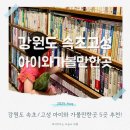 칠성카인테리어 | 속초고성가볼만한곳 아이와 함께라면? 강원도 여행지 추천!
