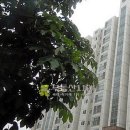 매송고색로422번길 이미지