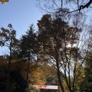 중머리재 | 광주 무등산 중머리재 등산 후기 : 이제 막 울긋불긋 물들기 시작한 단풍길 산책