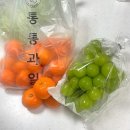 대전 과일맛집 컵과일 통통과일 상대점 달달한 샤인머스켓 솔직후기