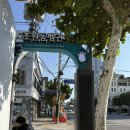 펭귄 온누리약국 이미지